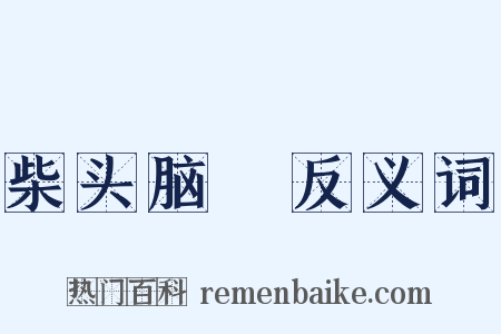 柴头脑殻反义词是什么意思的图片